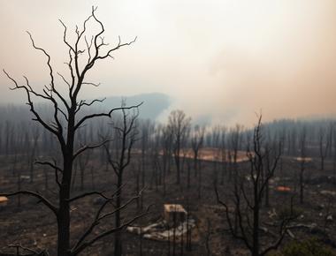 Could Trump Manipulate Wildfire Aid to Undermine California